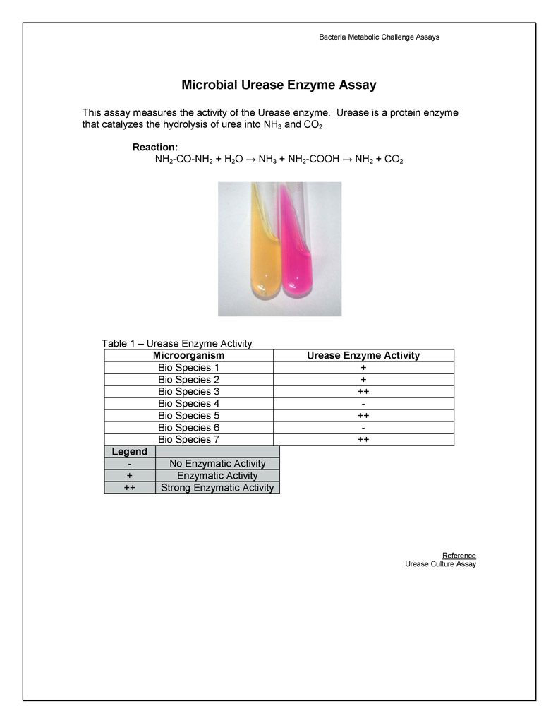 13-microbial-biochemical-testing_page_9_page_1