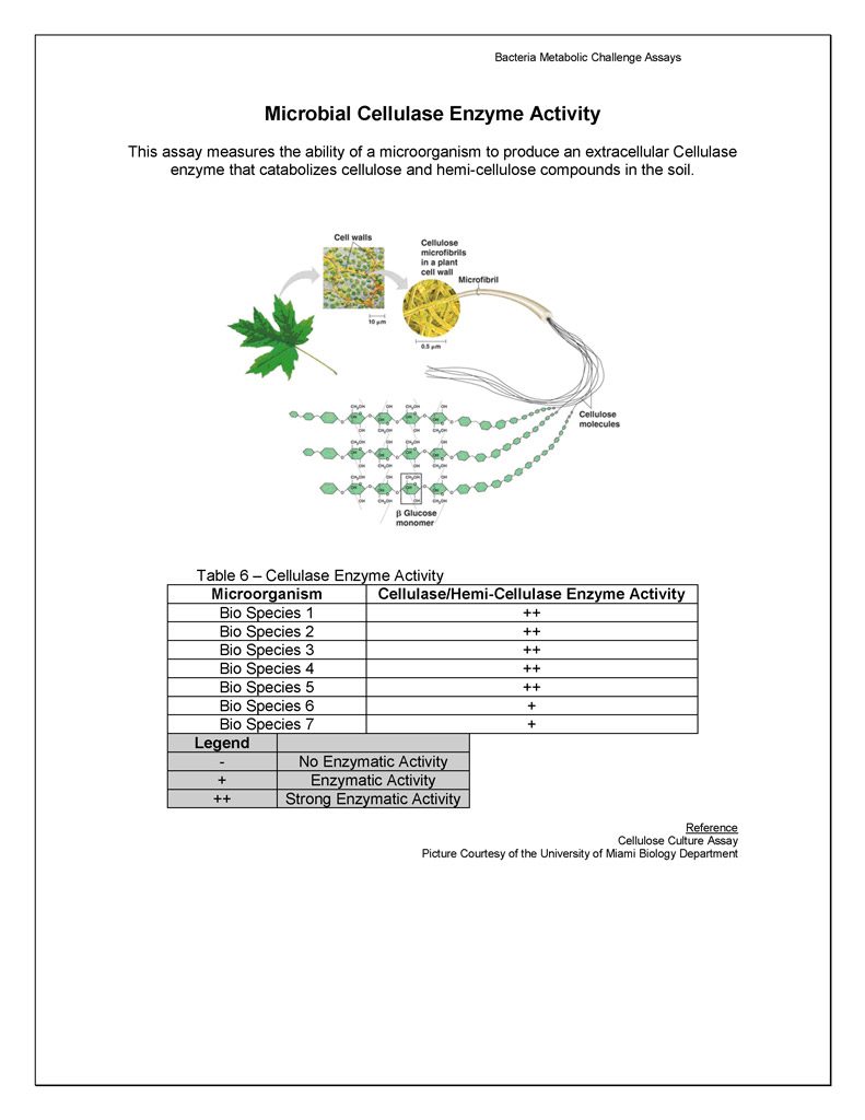 18-microbial-biochemical-testing_page_9_page_6
