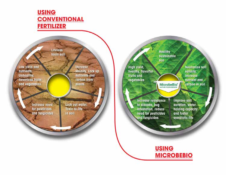 MICROBEBIO - HYDRO ACTIVATOR - t2