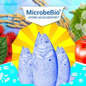 Microbebio hydro accelerator Microbebio hydro accelerator