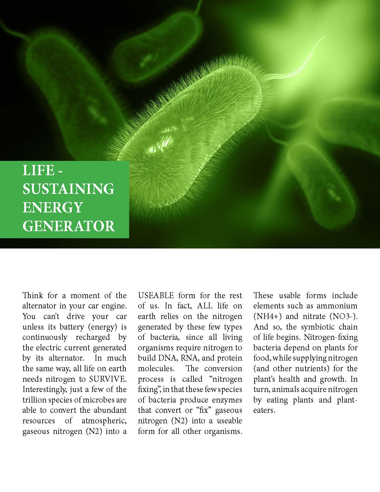 Microbes Role On Earth_2_Page_2 Microbes Role On Earth