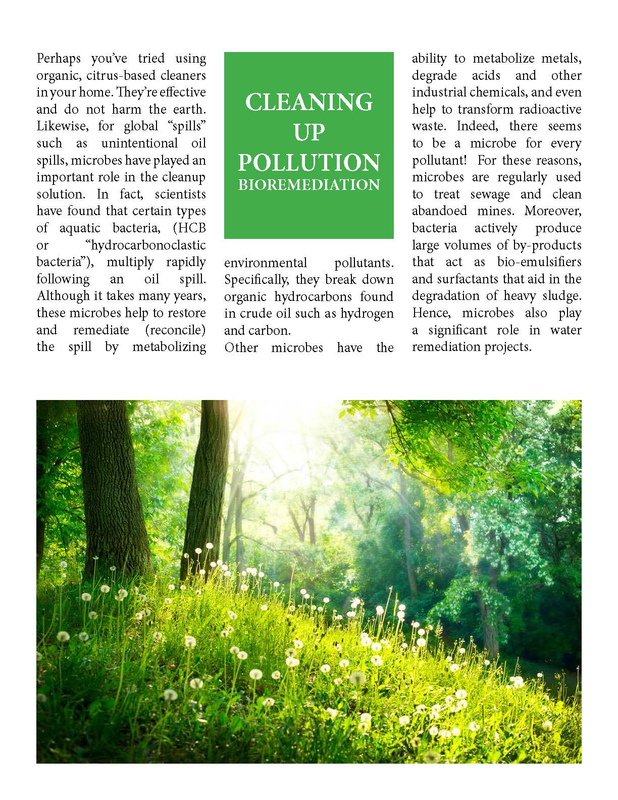 Microbes Role On Earth_2_Page_3 Microbes Role On Earth