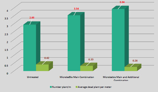 Fertilizer Microbial