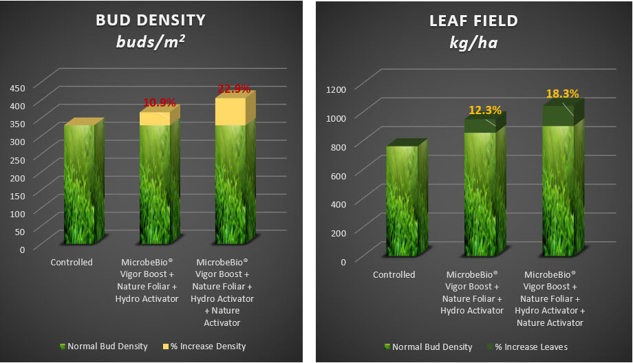 Microbebio Tea Trial Test