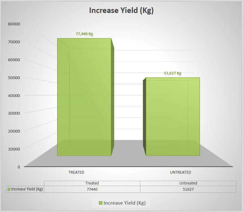 Microbial Fertilizer