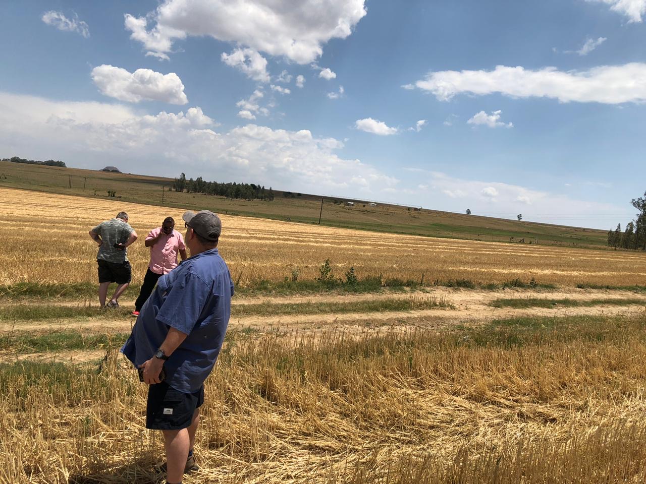 South Africa test sites on wheat farm 02