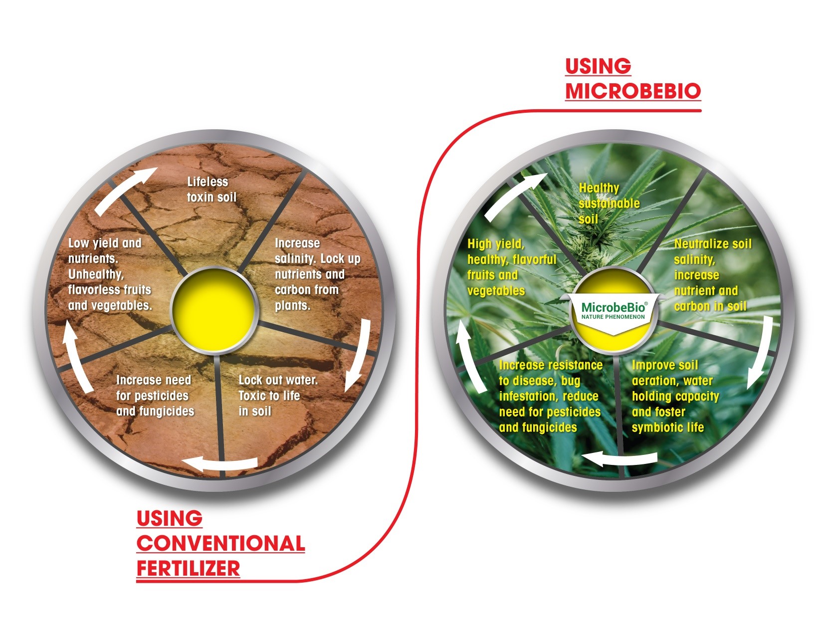 Microbebio Cannabis 18