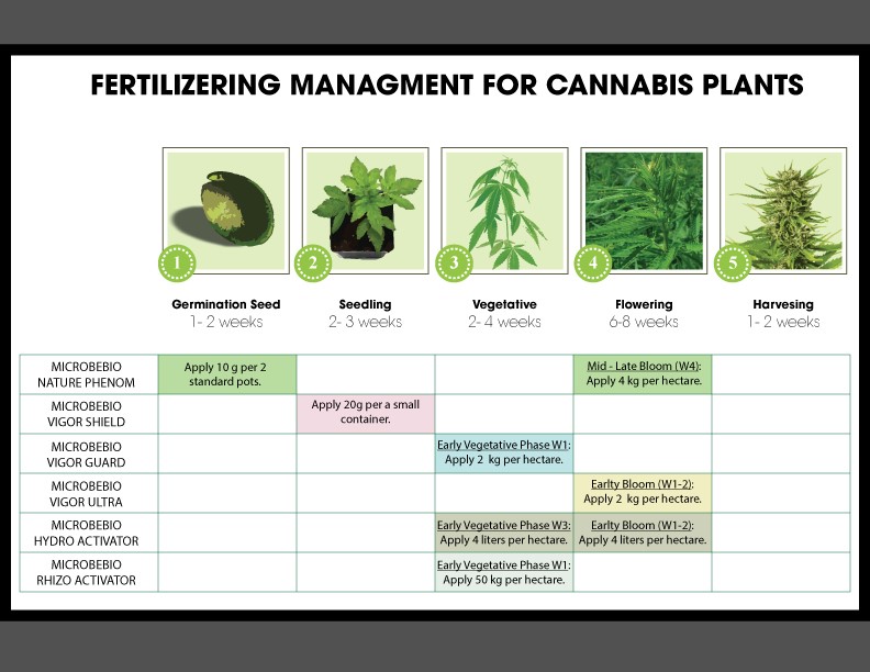 Microbebio Cannabis Microbebio how to grown Cannabis