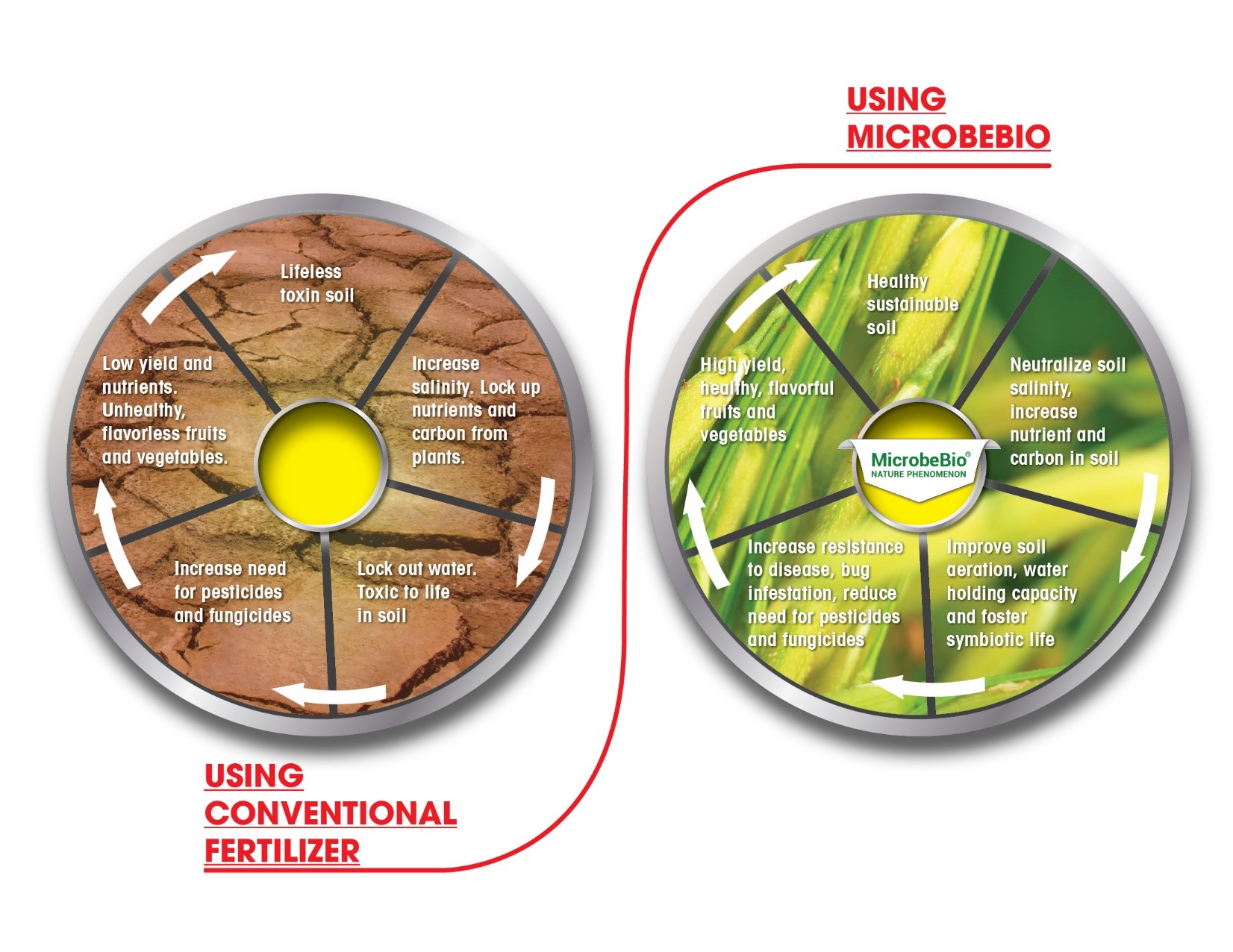 microbebio rice pest 13