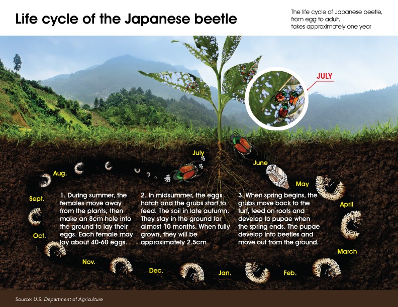 microbebio rice pest 7