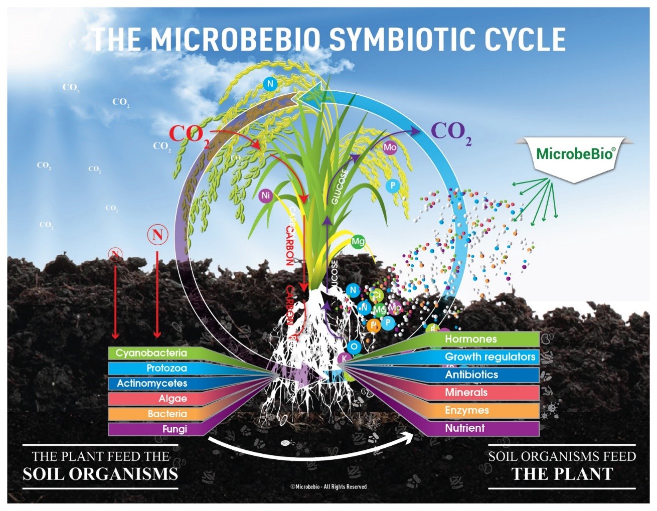 microbebio rice pest 9