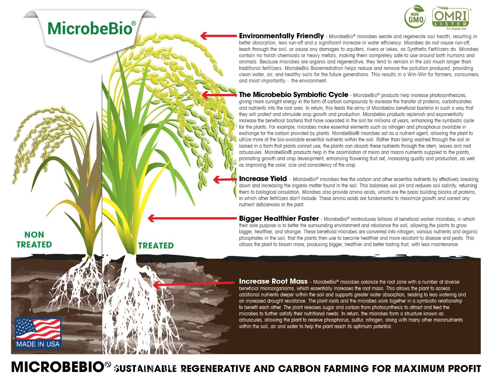 rice1 MICROBEBIO® PRODUCTS FOR GROWING ORGANIC RICE PLANTS