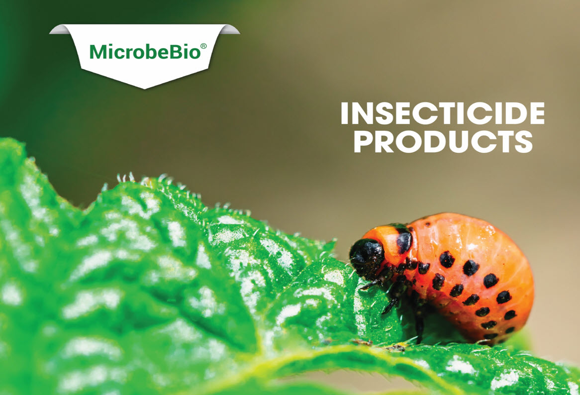 insecticide products