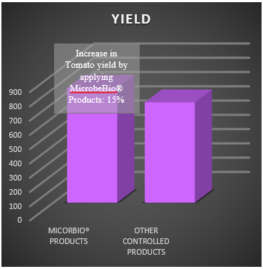 microbebio tomato result in zambia microbebio tomato result in zambia
