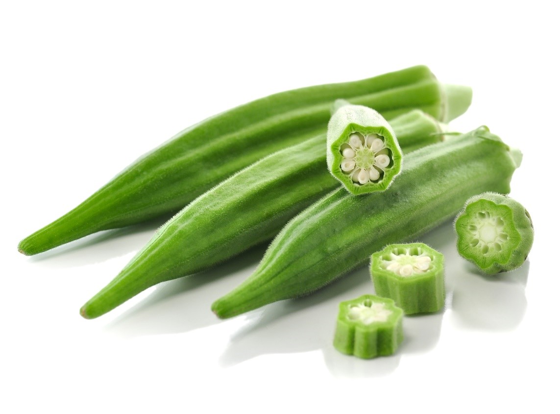 MICROBEBIO OKRA RESULTS IN NIGERIA MICROBEBIO OKRA RESULTS IN NIGERIA