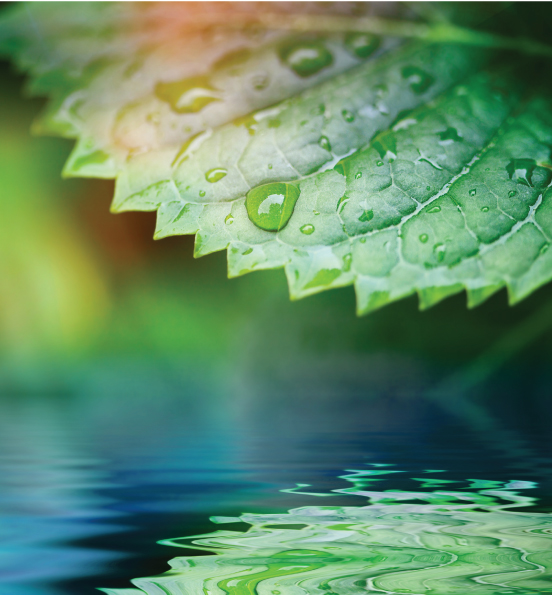 MICROBEBIO-ENERGY-LIQUID-WEB-4