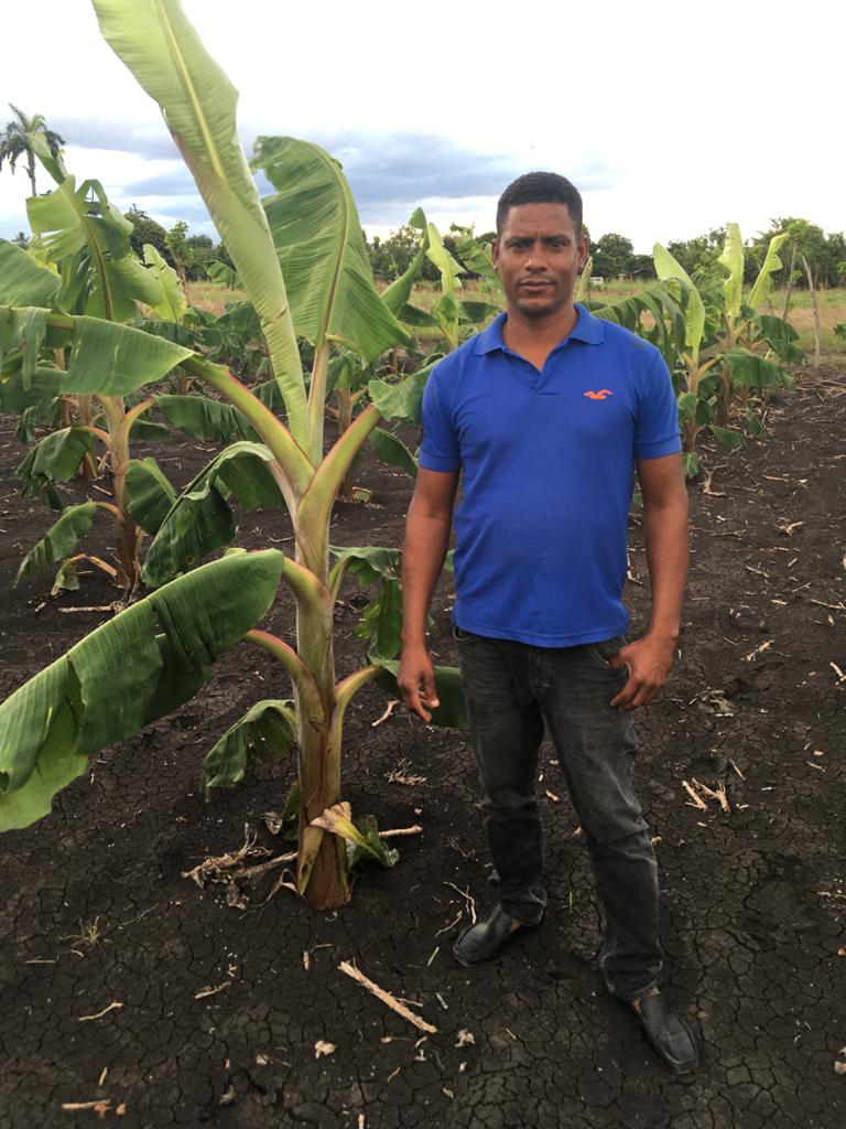 78 dias de plantado 2021-08-14 at 7.35.08 PM