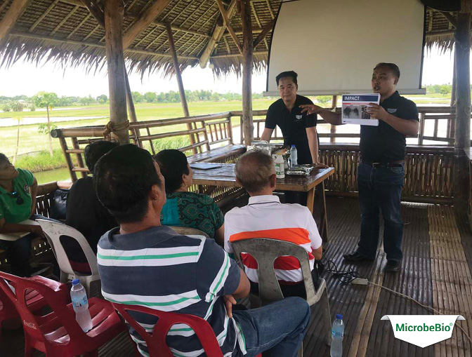 us base Microbebio bring new nano agriculture technology microbial biofertilizer to the Philippine to enhance rice yield and crop protection us base Microbebio bring new nano agriculture technology microbial biofertilizer to the Philippine to enhance rice yield and crop protection