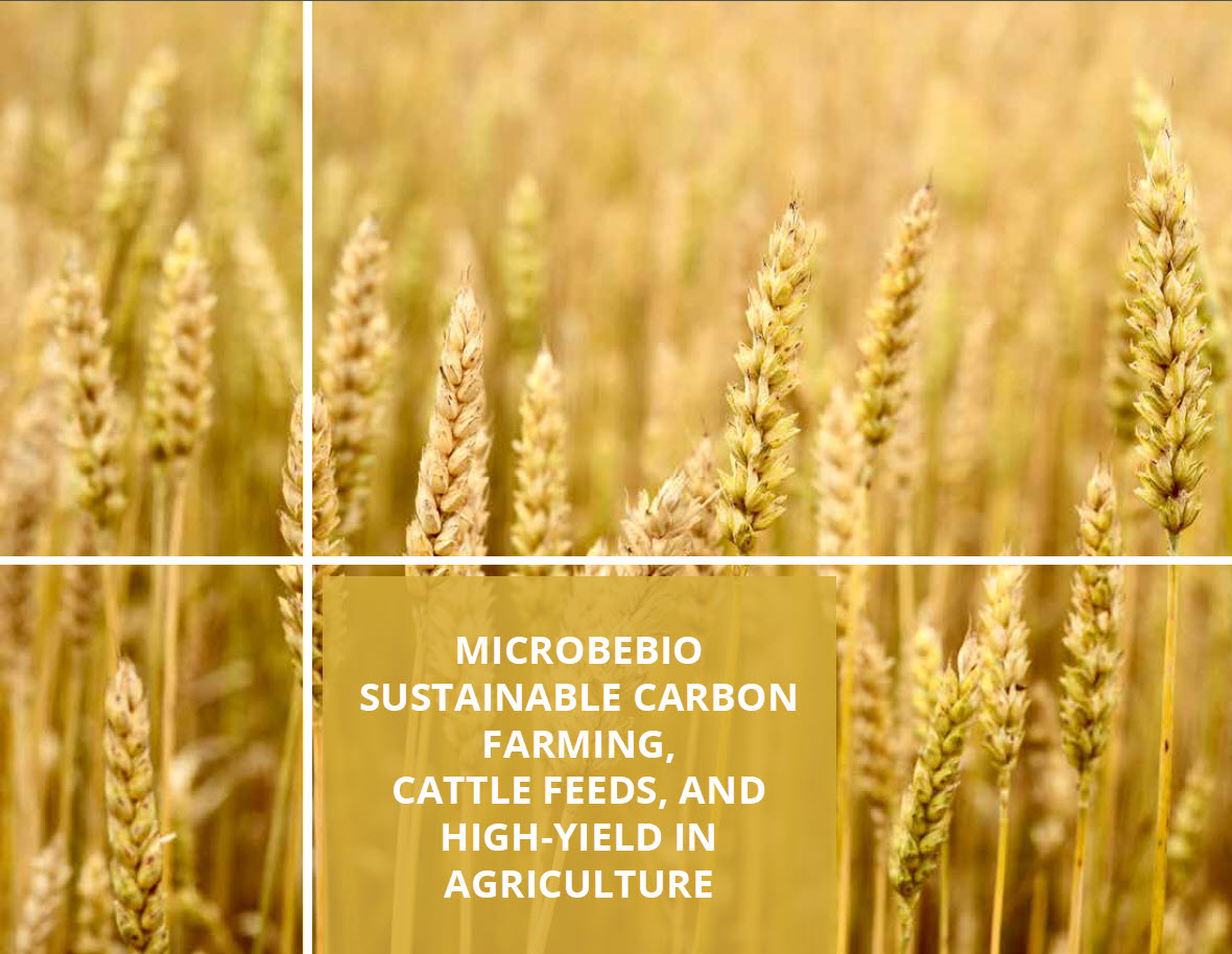 Microbebio Sustainable Regenerative and Carbon Farming 1