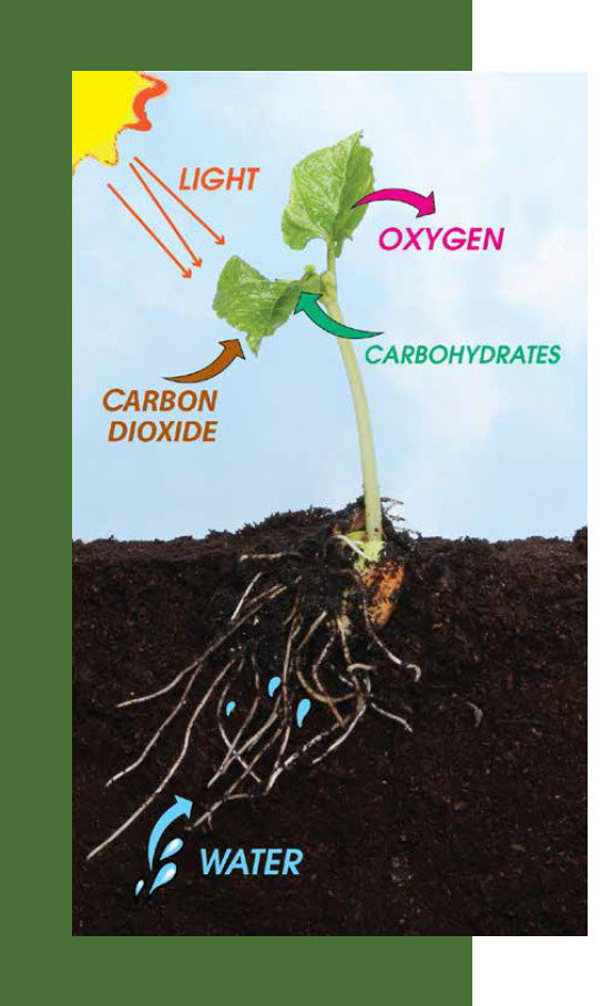 Microbebio Sustainable Regenerative and Carbon Farming 13 Microbebio Sustainable Regenerative and Carbon Farming