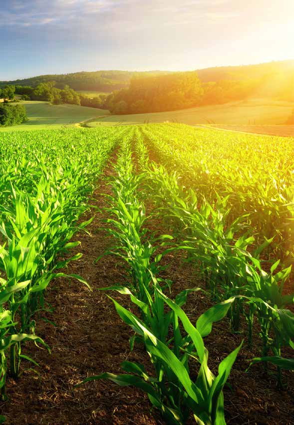 Microbebio Sustainable Regenerative and Carbon Farming 14 Microbebio Sustainable Regenerative and Carbon Farming
