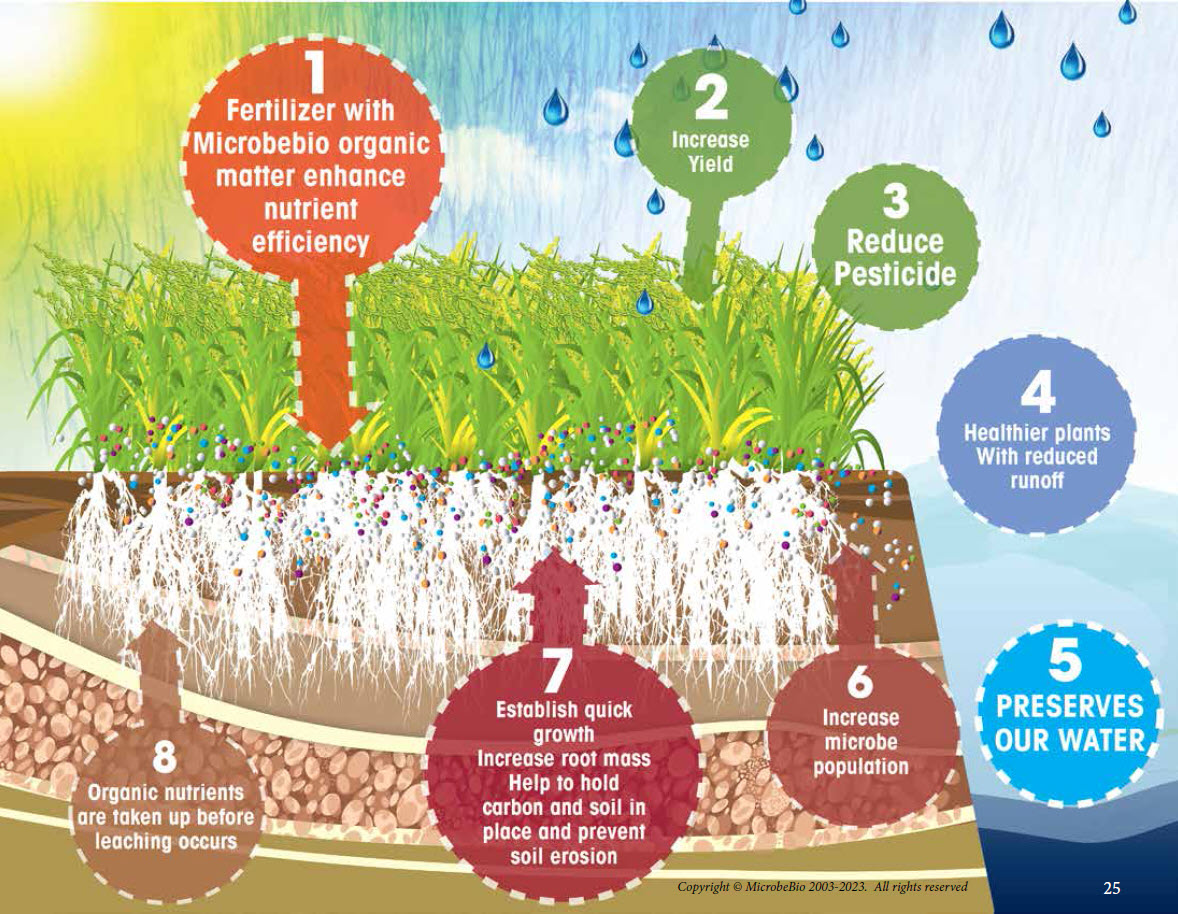 Microbebio Sustainable Regenerative and Carbon Farming 16 Microbebio Sustainable Regenerative and Carbon Farming