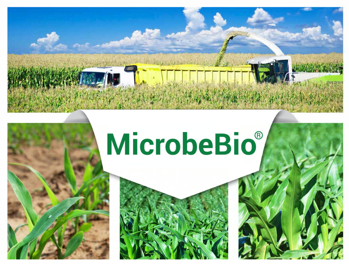 Microbebio Sustainable Regenerative and Carbon Farming 17 Microbebio Sustainable Regenerative and Carbon Farming
