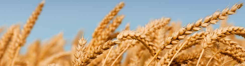 Microbebio Sustainable Regenerative and Carbon Farming 2 Microbebio Sustainable Regenerative and Carbon Farming 2