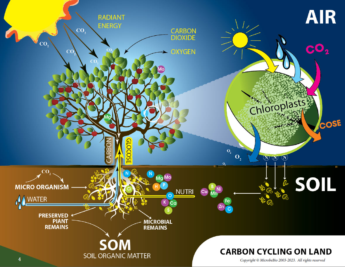Microbebio Sustainable Regenerative and Carbon Farming 3