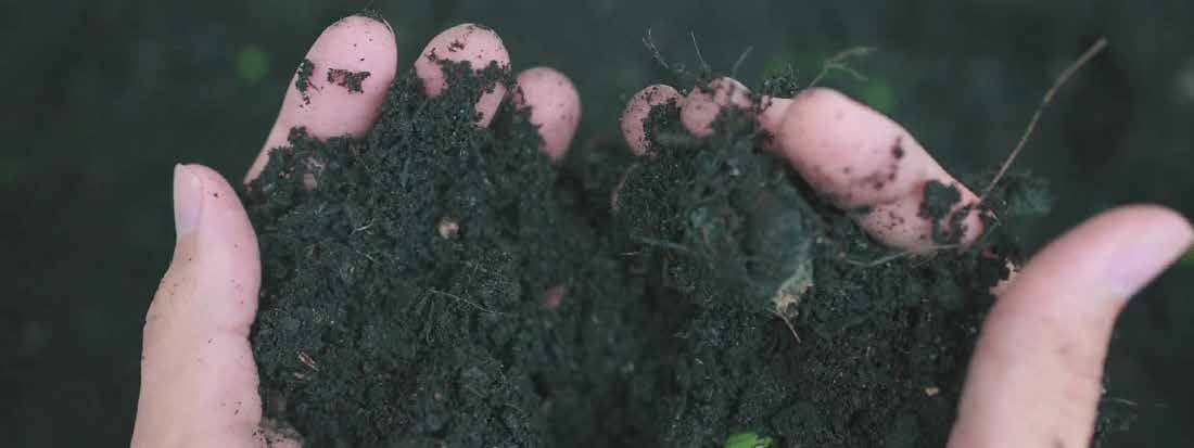Microbebio Sustainable Regenerative and Carbon Farming 4 Microbebio Sustainable Regenerative and Carbon Farming 4