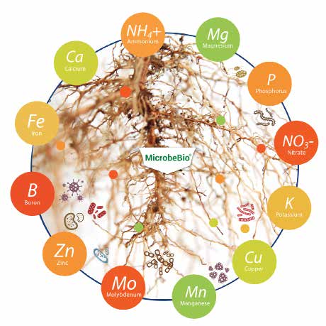 Microbebio Sustainable Regenerative and Carbon Farming 5 Microbebio Sustainable Regenerative and Carbon Farming 5