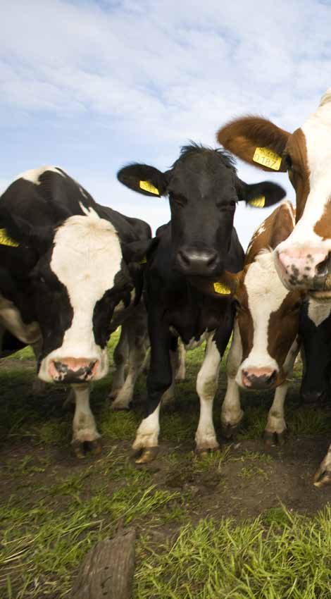Microbebio Sustainable Regenerative and Carbon Farming 6 Microbebio Sustainable Regenerative and Carbon Farming 6