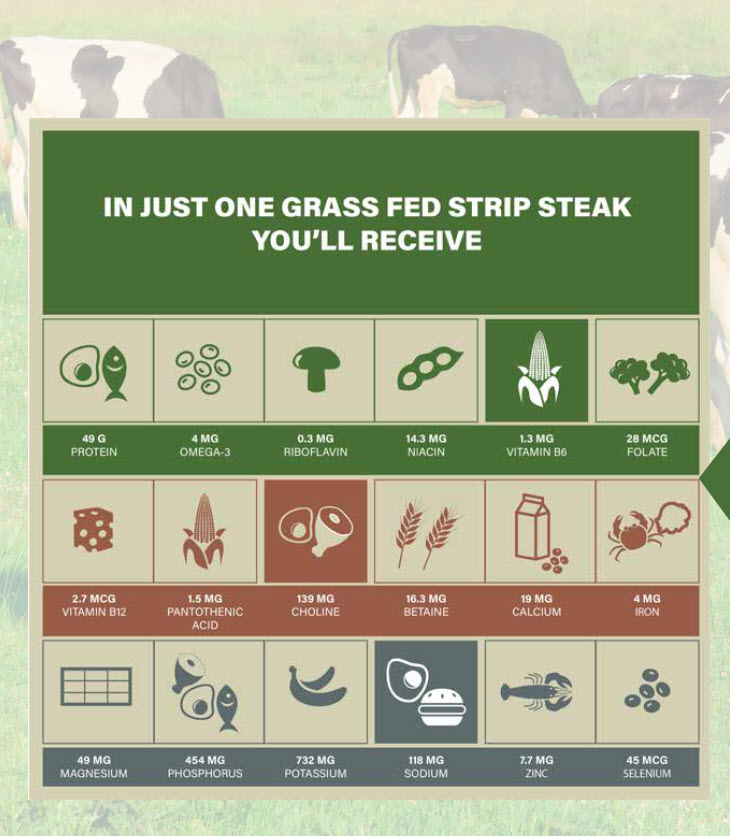Microbebio Sustainable Regenerative and Carbon Farming 7 Microbebio Sustainable Regenerative and Carbon Farming 7