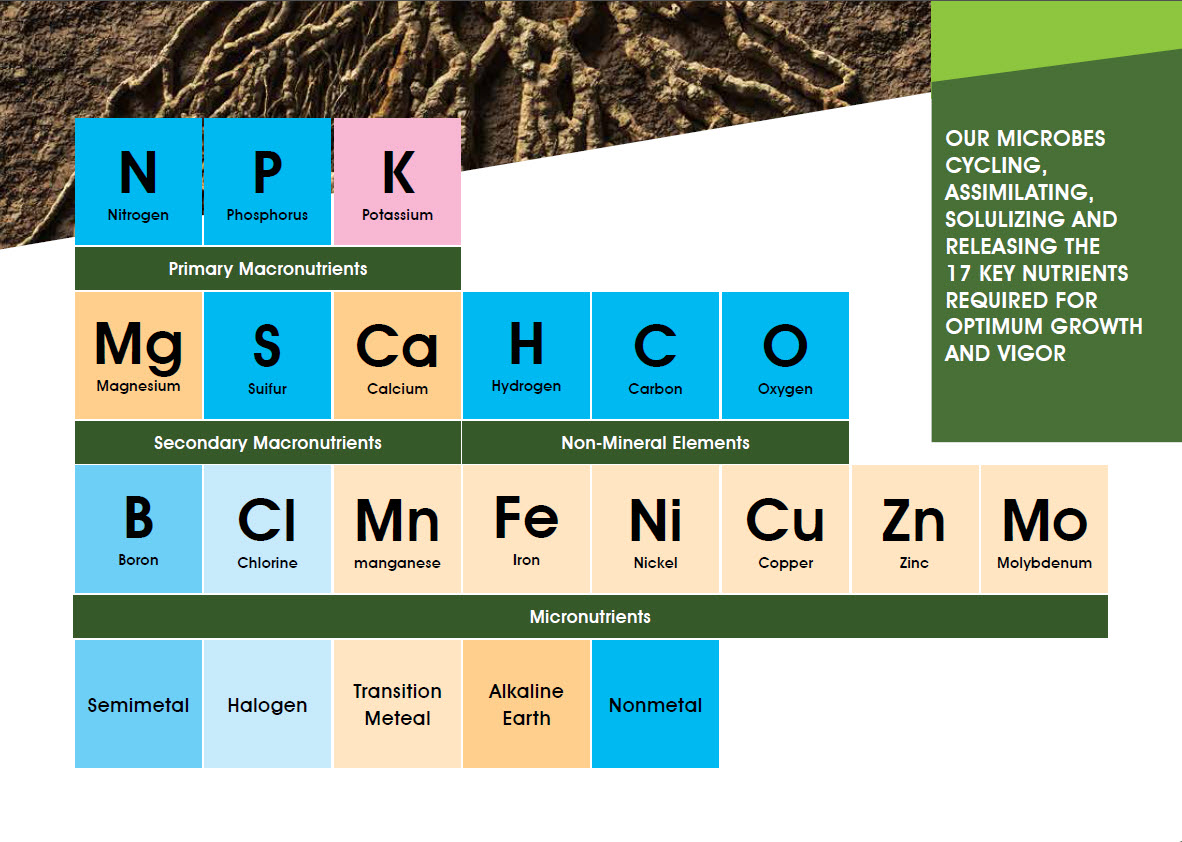 Microbebio Sustainable Regenerative and Carbon Farming 8 Microbebio Sustainable Regenerative and Carbon Farming 8