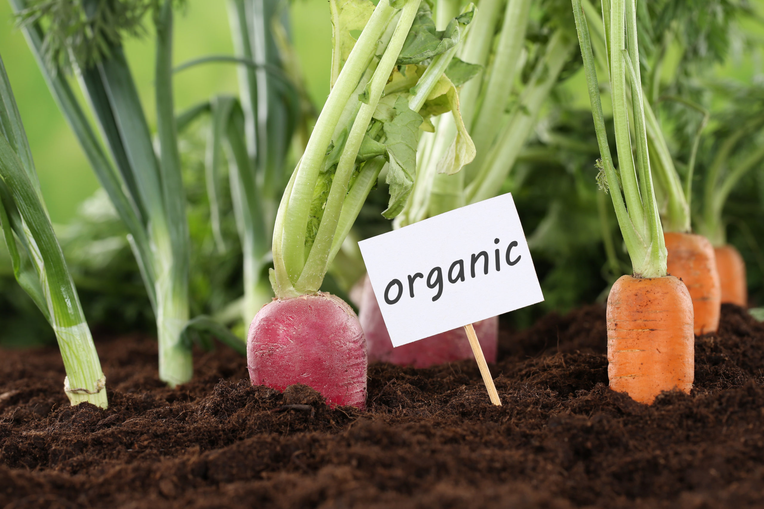 Certified Organic with Microbebio Certified Organic with Microbebio