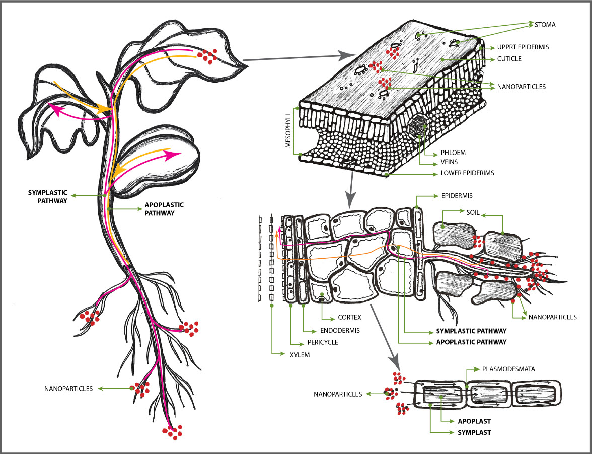 MICROBEBIO sustainable farming practices 2 Jan 31 2023