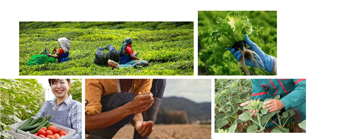 MICROBEBIO sustainable farming practices 3 Jan 31 2023 MICROBEBIO sustainable farming practices