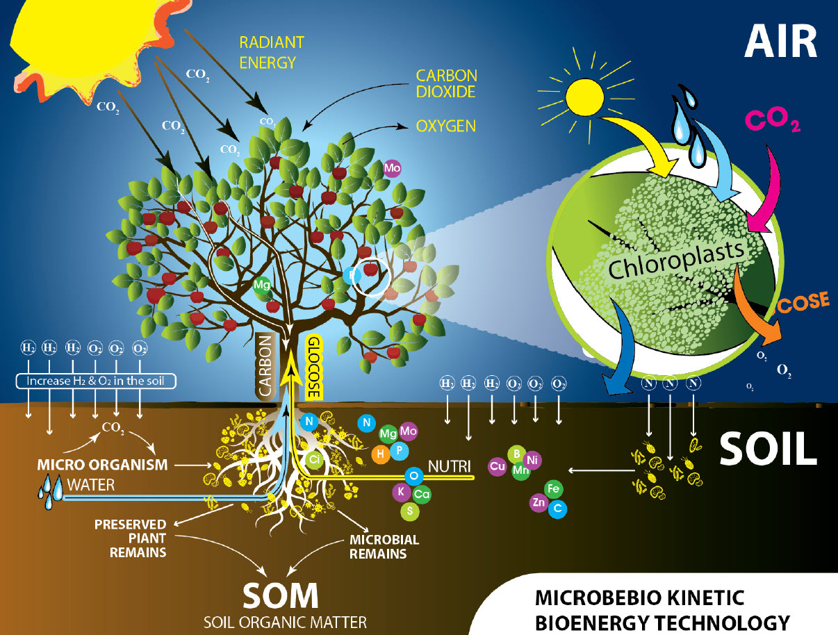 MICROBEBIO sustainable farming practices 4 Jan 31 2023 MICROBEBIO sustainable farming practices