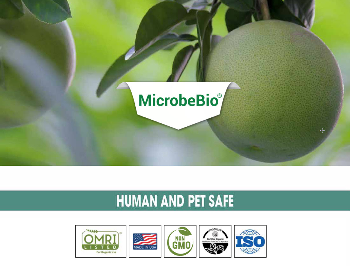 microbebio pest prevent diseas grapefruit microbebio pest prevent disease grapefruit
