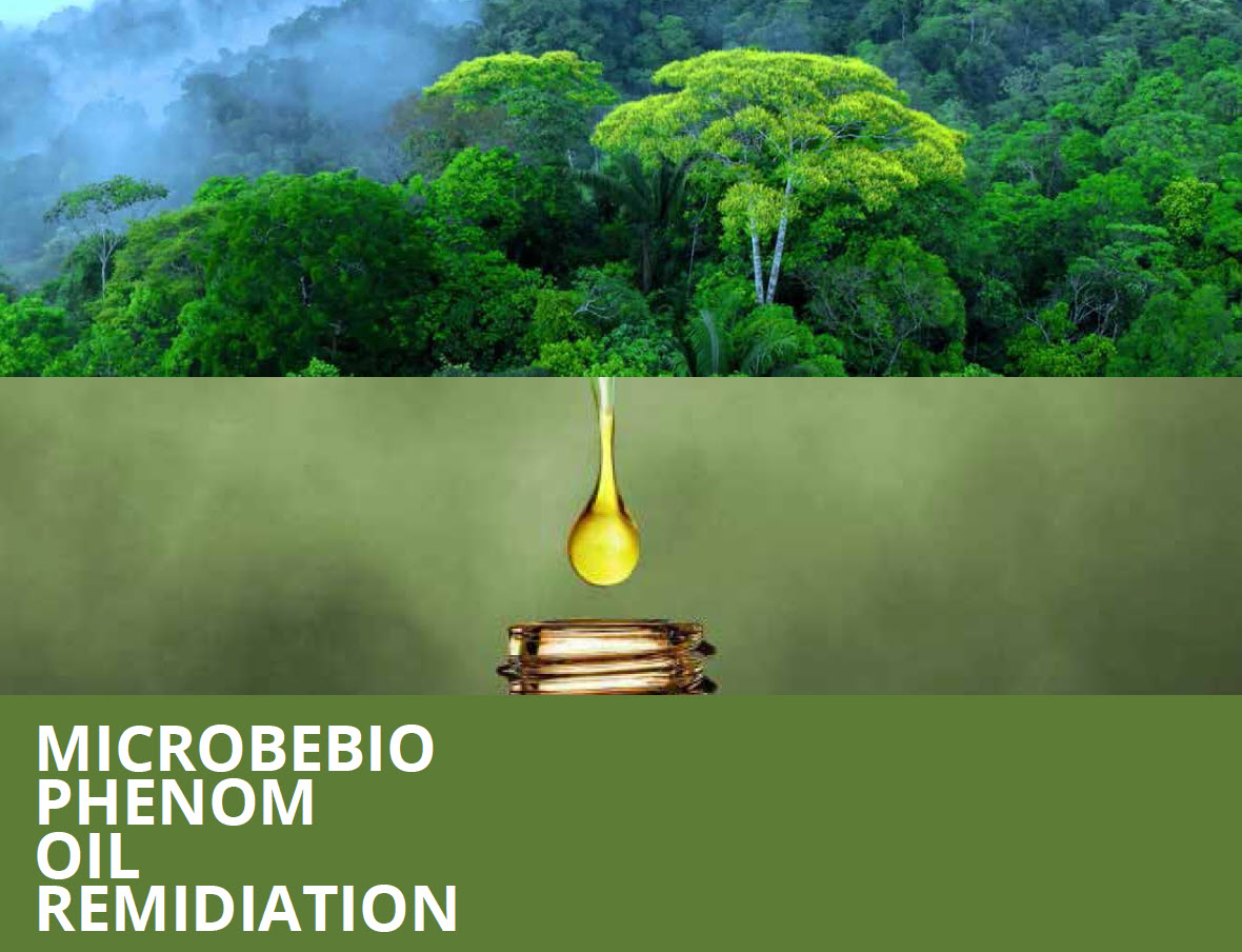 Microbebio phenom - Oil Remidiation 1