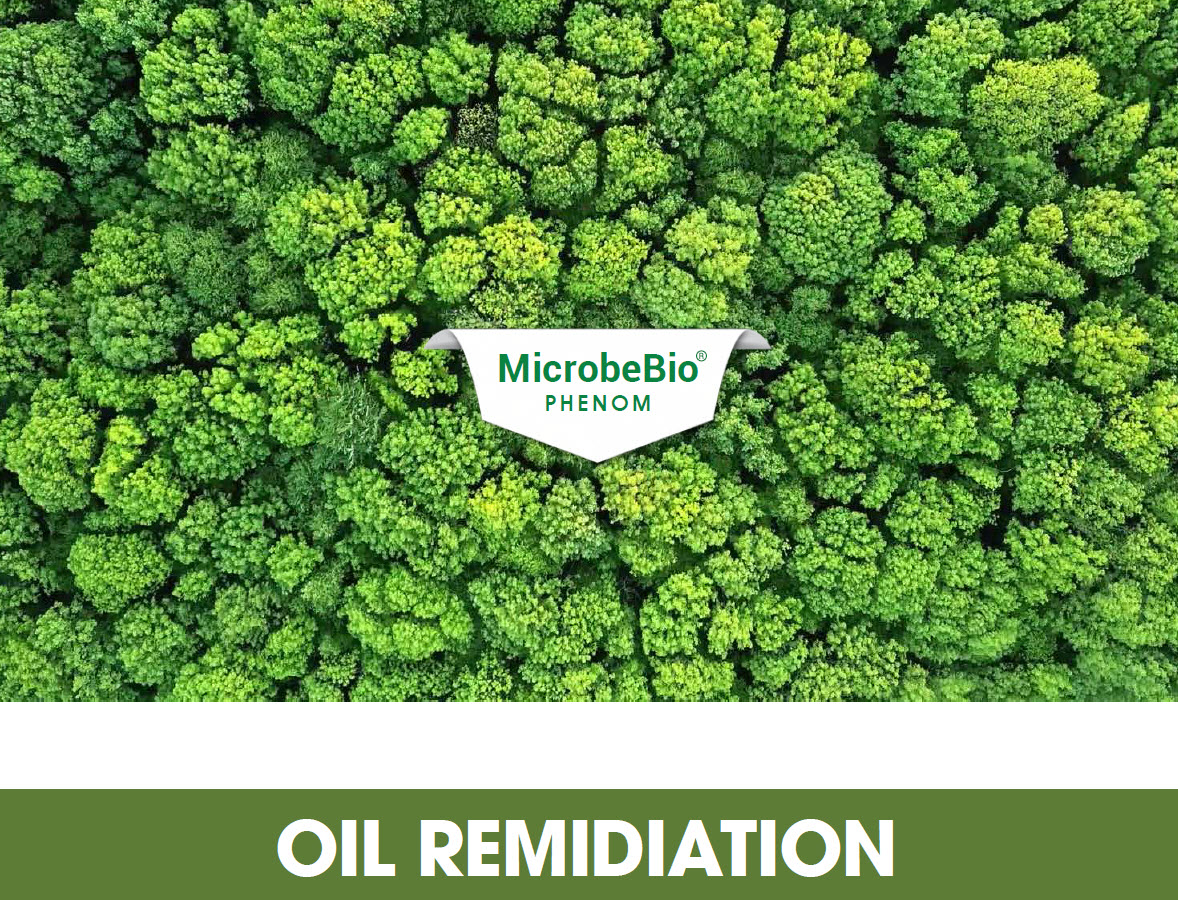 Microbebio phenom - Oil Remidiation