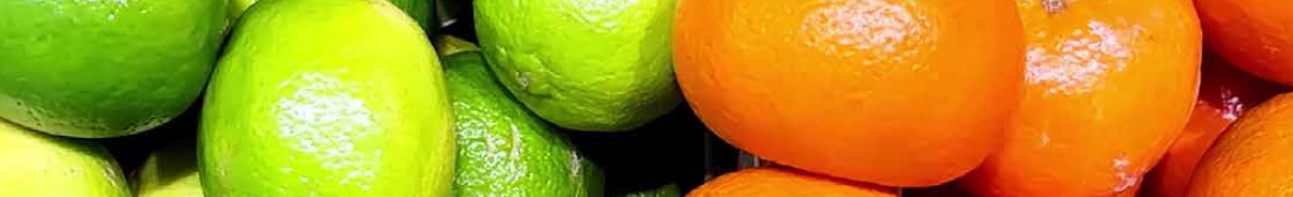 Enhancing Citrus Health with Microbebio 7 Enhancing Citrus Health with Microbebio 7