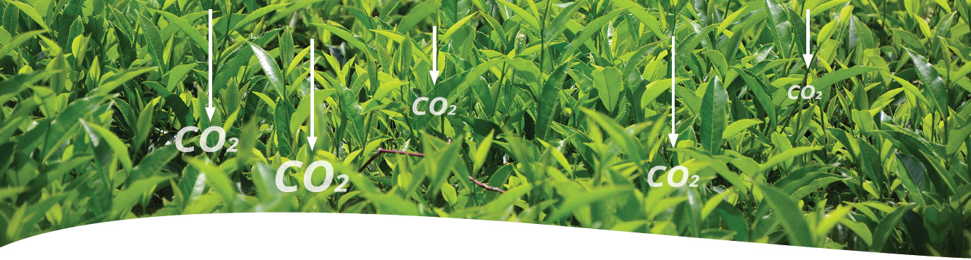 MICROBEBIO - Growing a Greener Future with Microbebio - ENGLISH - 08 25 23