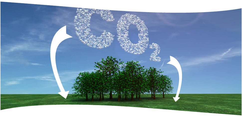 Managing the climate emergency together 1