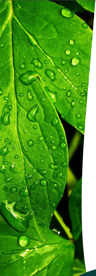 Managing the climate emergency together 2