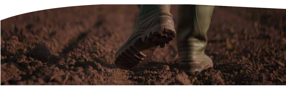A Silent Hero for Sustainable Agriculture and Human Health 1 A Silent Hero for Sustainable Agriculture and Human Health 1