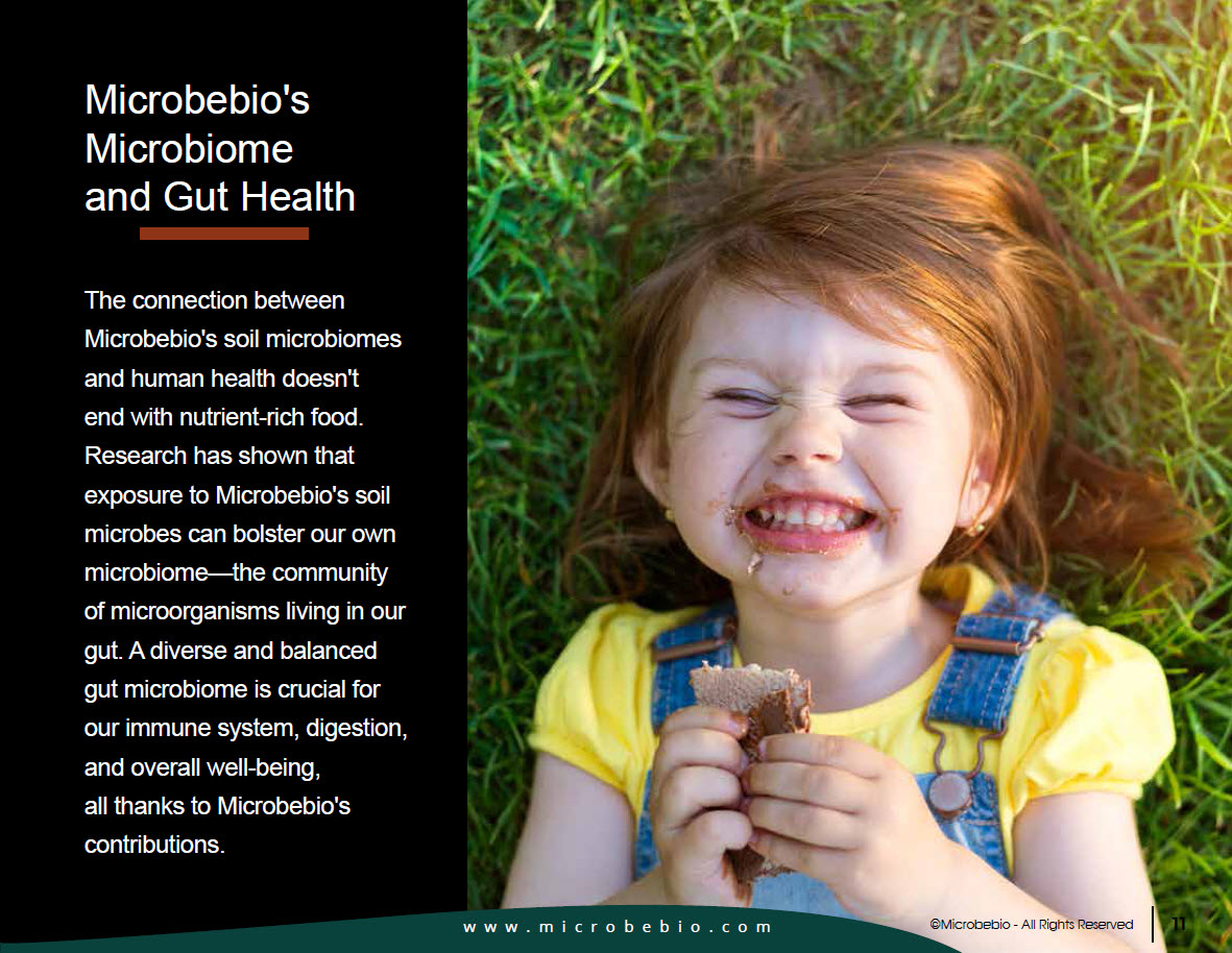 A Silent Hero for Sustainable Agriculture and Human Health 10