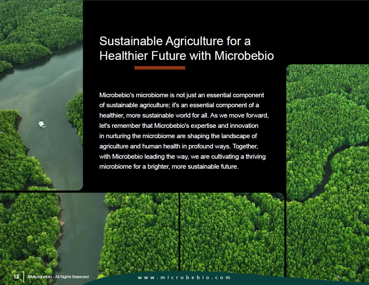 A Silent Hero for Sustainable Agriculture and Human Health 11