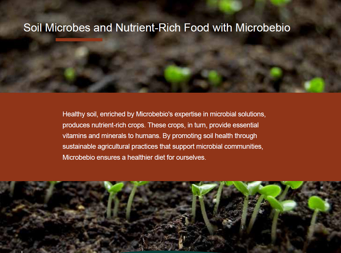 A Silent Hero for Sustainable Agriculture and Human Health 9
