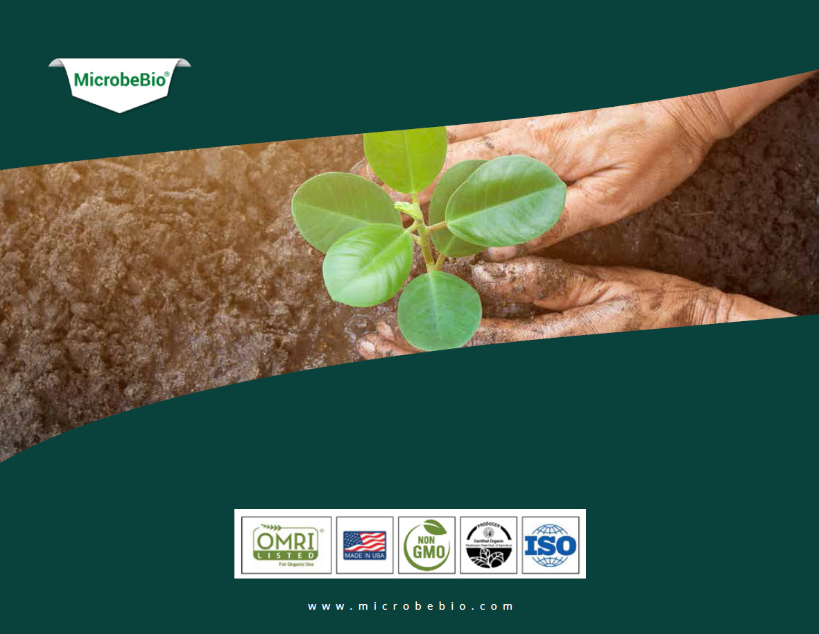A Silent Hero for Sustainable Agriculture and Human Health A Silent Hero for Sustainable Agriculture and Human Health